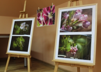 Wystawa fotografii "Opowieści fotograficzne" (22.06.2020)