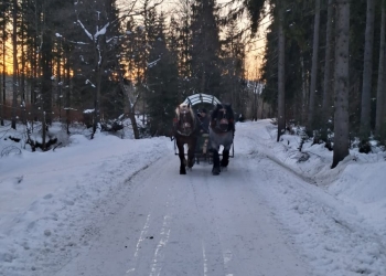 PHOTO-2026-01-23-13-26-55