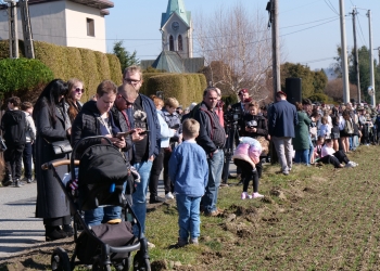 PHOTO-2026-03-08-11-50-12 14 — kopia